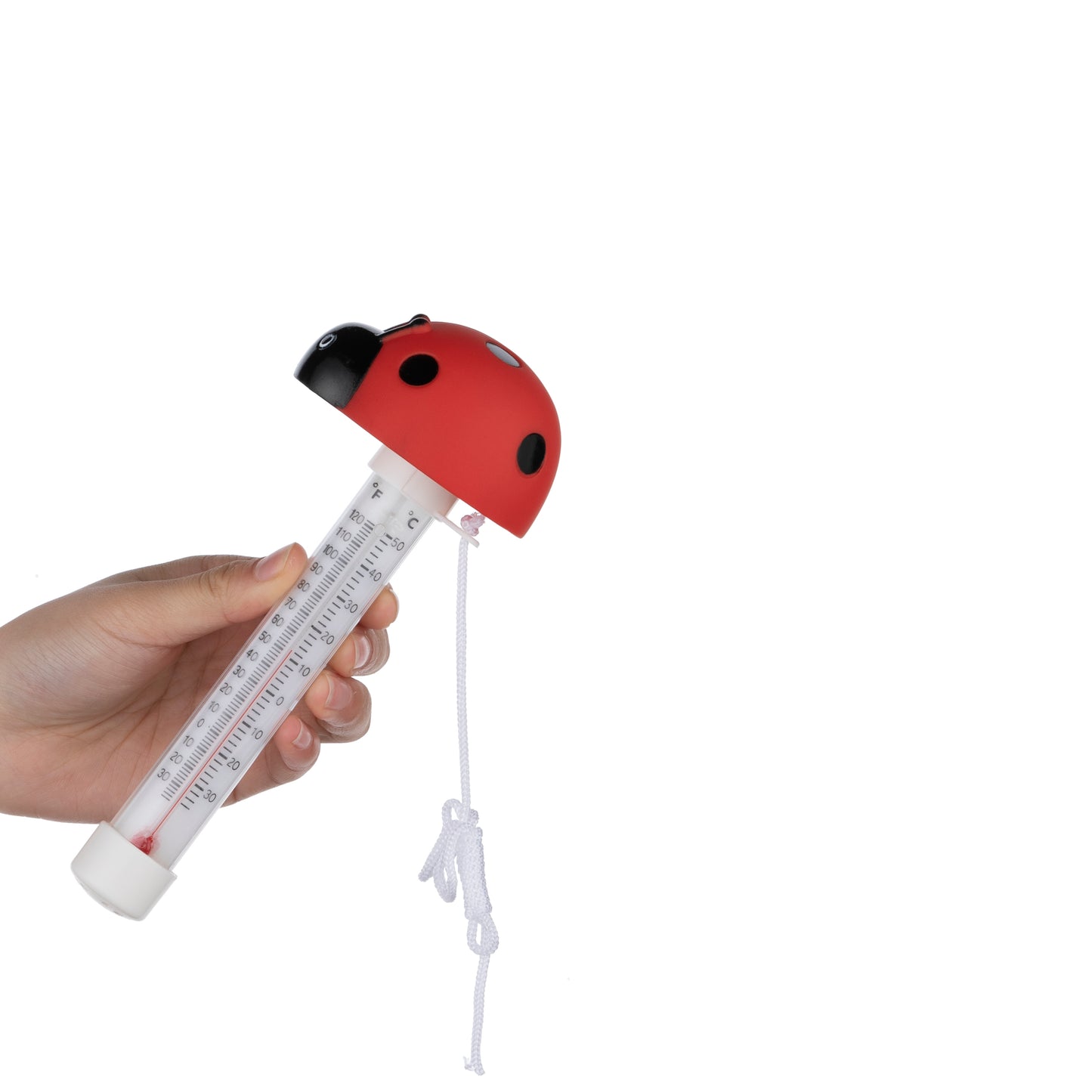 Ladybug Pool Thermometer