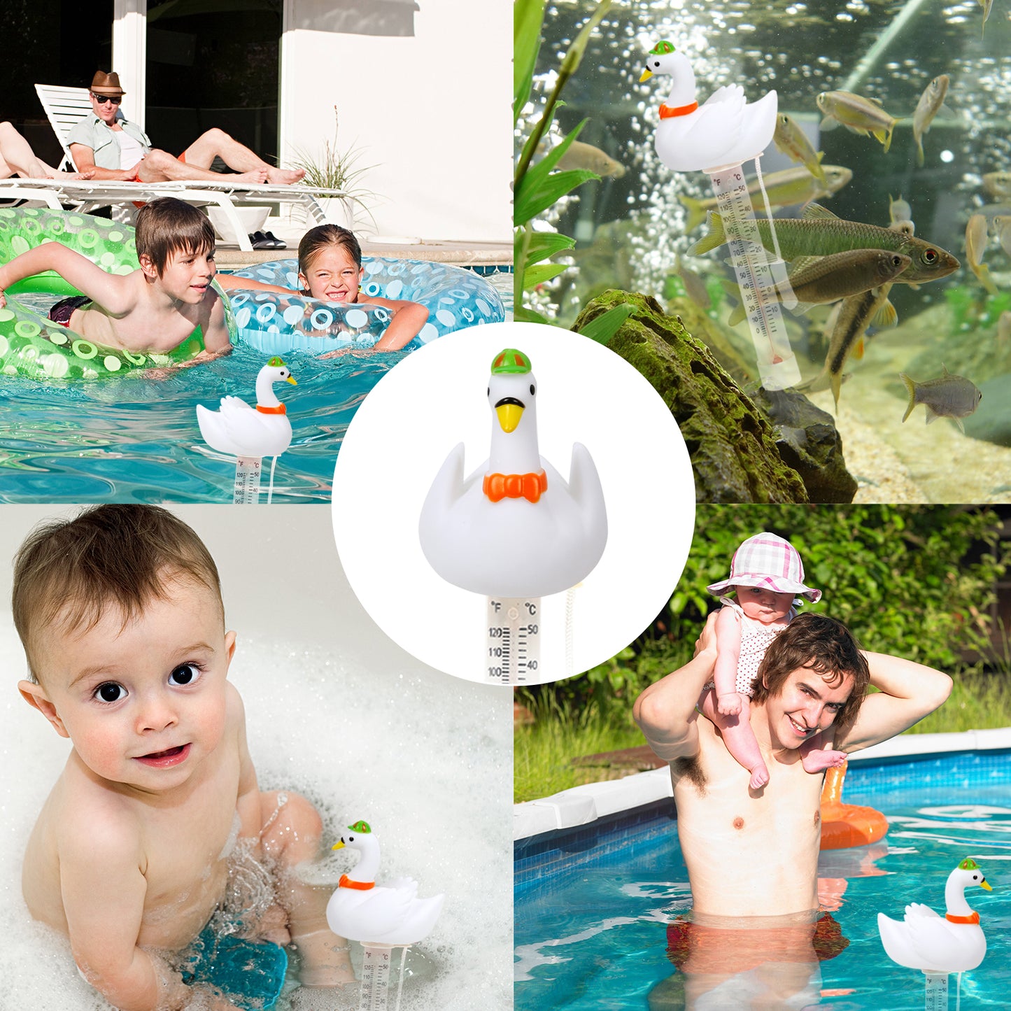 Swan Pool Thermometer