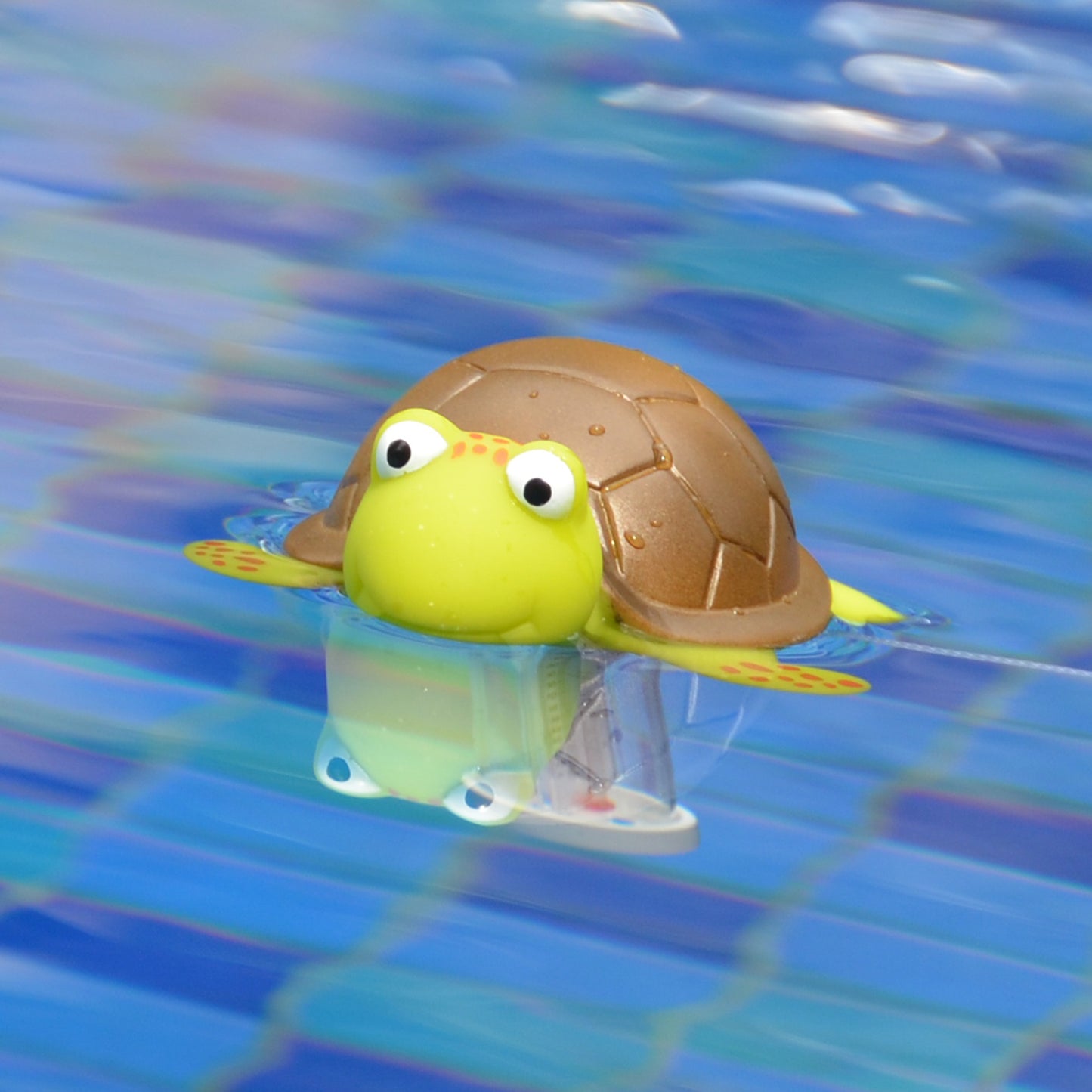 Turtle Pool Thermometer