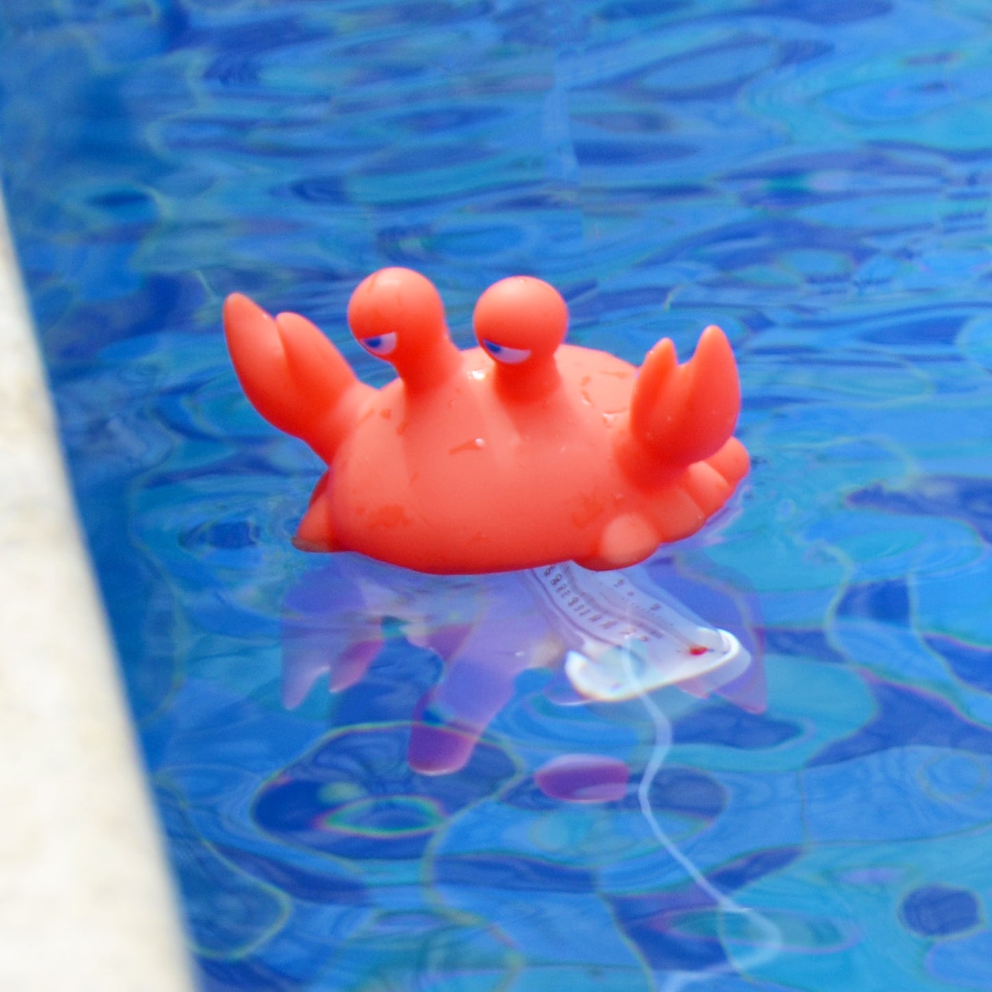 Crab Pool Thermometer