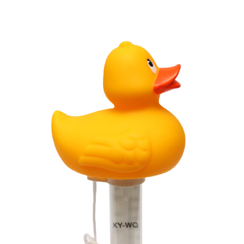 Duck Pool Thermometer
