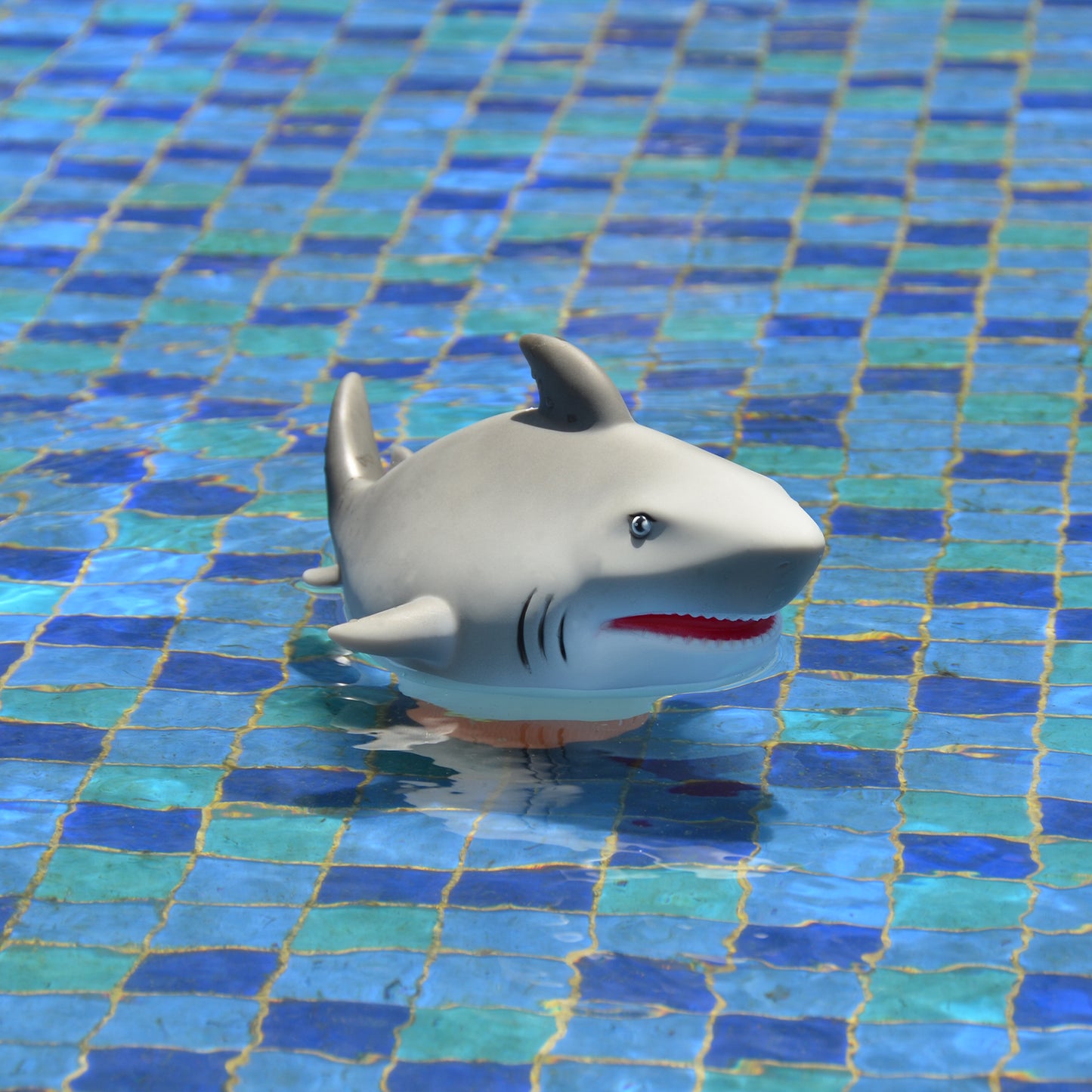 Shark Chlorine Dispenser