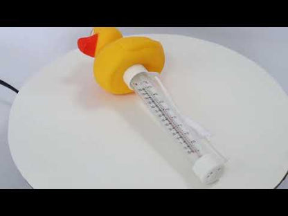 Duck Pool Thermometer
